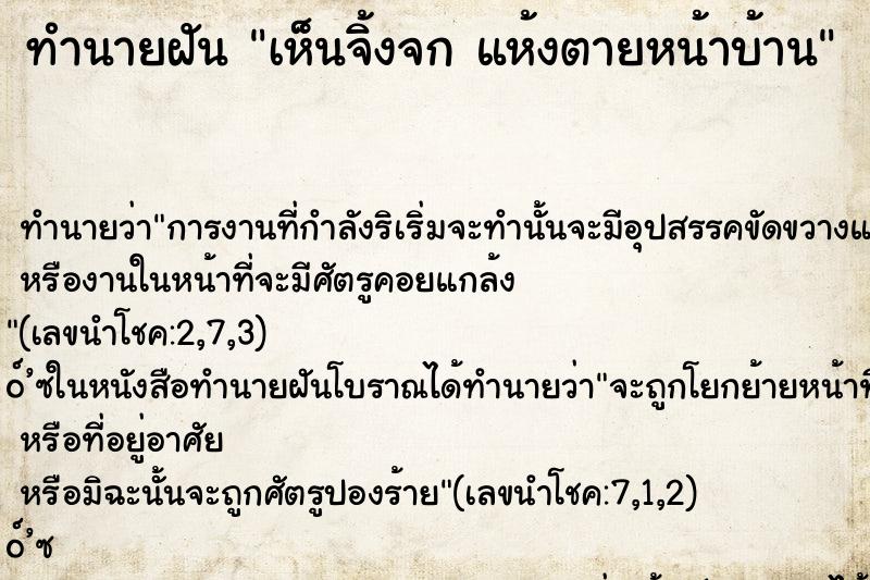 ทำนายฝันเห็นจิ้งจกแห้งตายหน้าบ้าน ทำนายฝันทำนายฝันเห็นจิ้งจกแห้งตายหน้าบ้าน